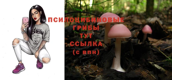 трава Надым