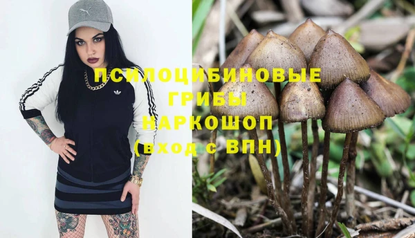 спиды Наволоки